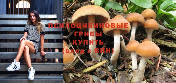 гашиш Алзамай