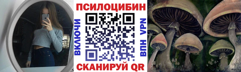 KRAKEN сайт  дарнет шоп  Яхрома  Псилоцибиновые грибы мицелий 